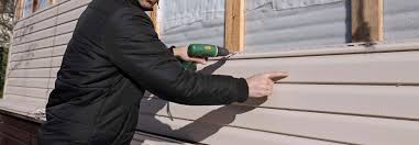 Best Vinyl Siding Installation  in Chleston, AR